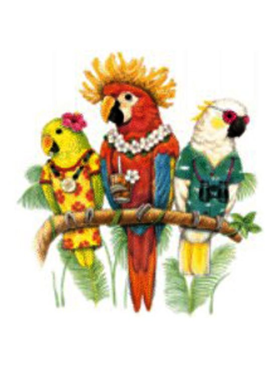 Camisetas Turísticas
