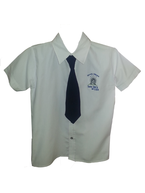 Camisas formales